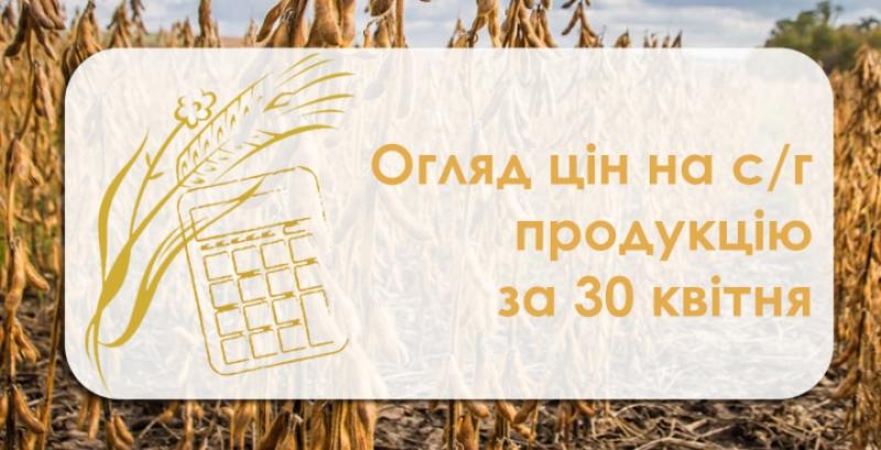 Кукурудза продовжує дешевшати — огляд цін на с/г продукцію за 30 квітня