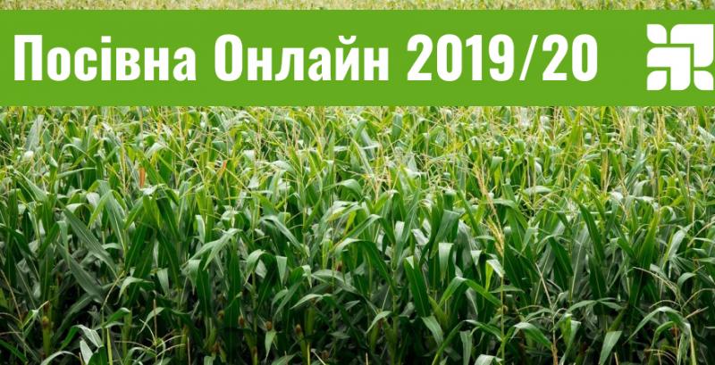 Аграріям залишилось засіяти 14% площ кукурудзи — Посівна Онлайн