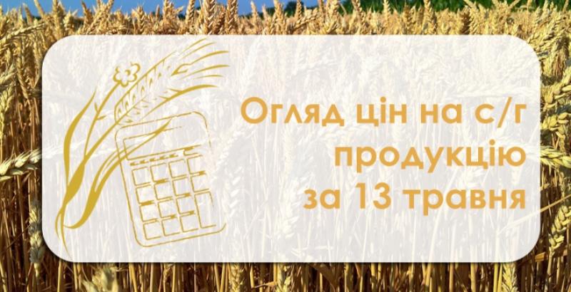 В Україні подешевшали олійні — огляд цін на с/г продукцію за 13 травня