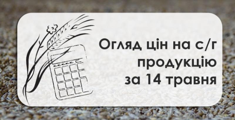 Ячмінь та соя подешевшали — огляд цін на с/г продукцію за 14 травня