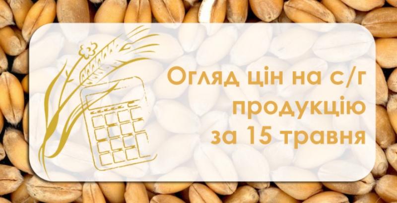 Закупівельні ціни на пшеницю та кукурудзу пішли до низу — огляд за 15 травня