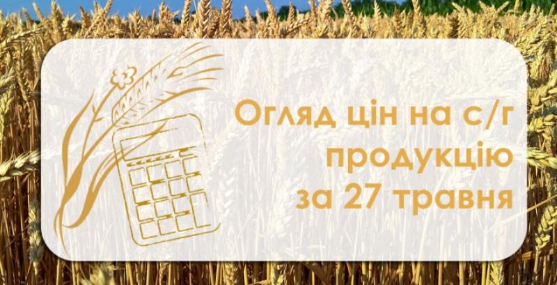 Ячмінь та соняшник подорожчали — огляд цін на с/г продукцію за 27 травня