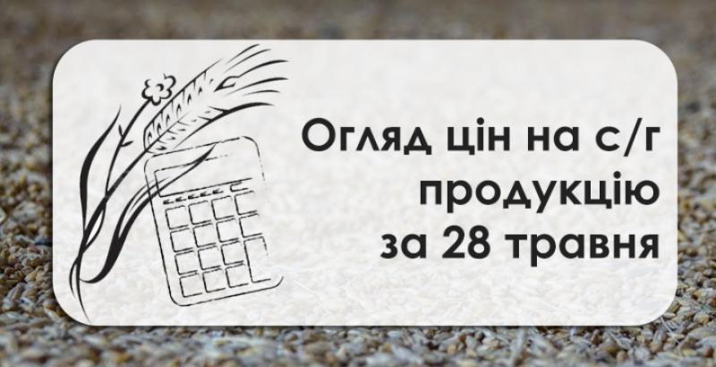 Кукурудза подорожчала — огляд цін на с/г продукцію за 28 травня