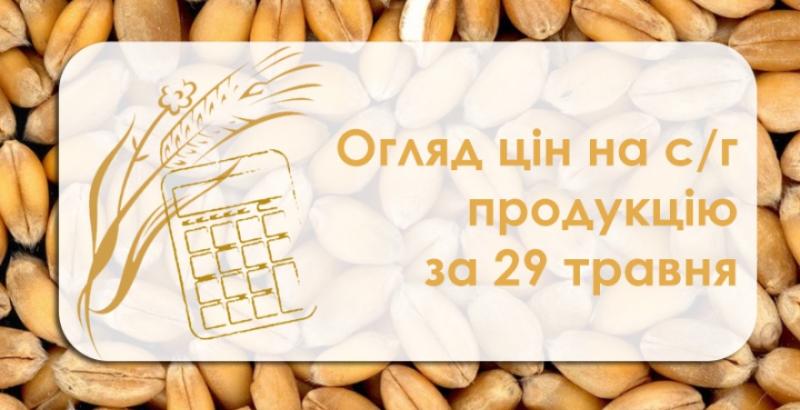 В Україні стабілізувались ціни на соняшник — огляд за 29 травня