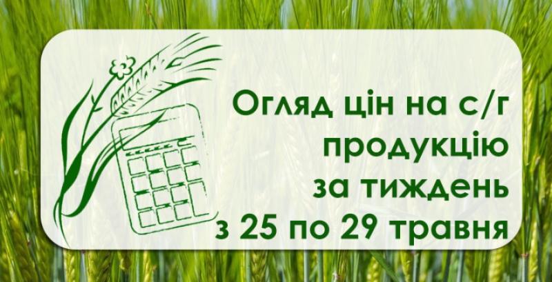 Як змінились ціни на зернові та олійні — огляд за тиждень з 25 по 29 травня