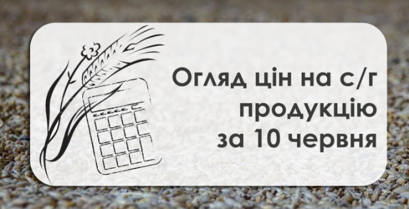 Закупівельні ціни на соняшник зросли — огляд за 10 червня