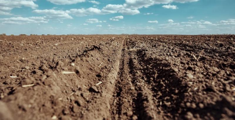 Експерт розповів, як аналіз ґрунту допомагає заощадити на внесенні добрив