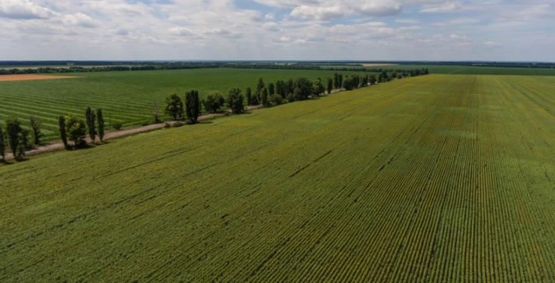 Нардеп назвав переваги прийняття законопроєкту про розпаювання державних земель