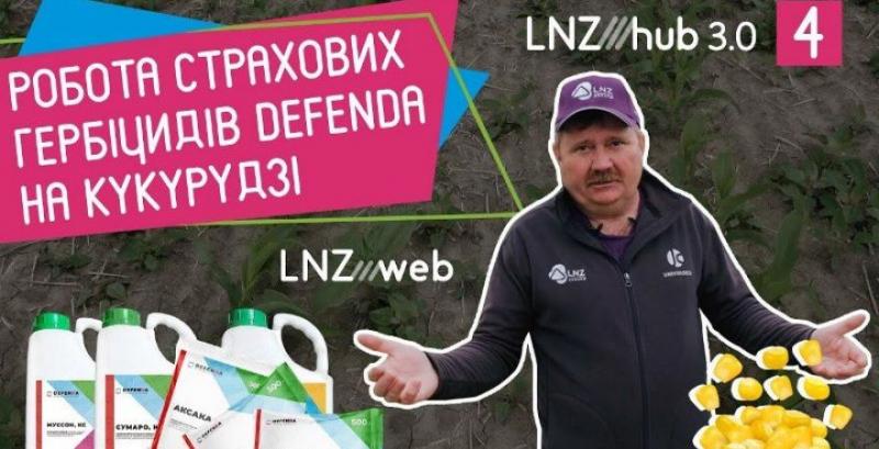 На LNZ Hub дослідили ефективність страхових схем гербіцидного захисту кукурудзи