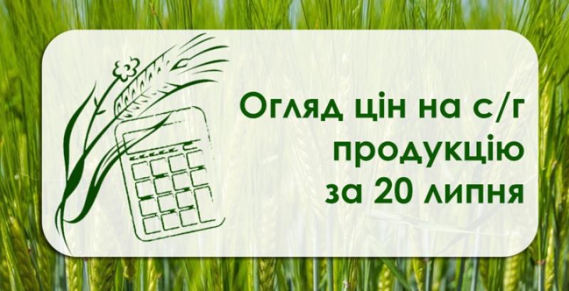 Як змінились ціни на с/г культури — огляд за 20 липня