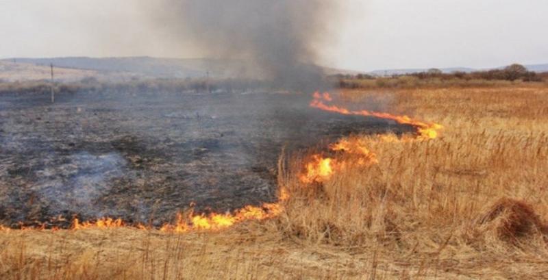 Фермер зазнав збитків у розмірі 100 тисяч грн через підпал поля