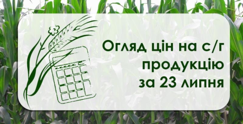 Пшениця дорожчає четвертий тиждень поспіль — огляд за 23 липня 