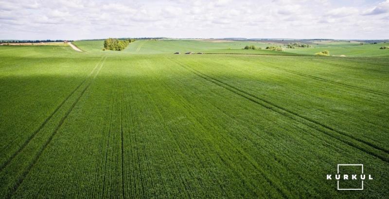 На Миколаївщині на 20 га пасовищ незаконно вирощували зернові 