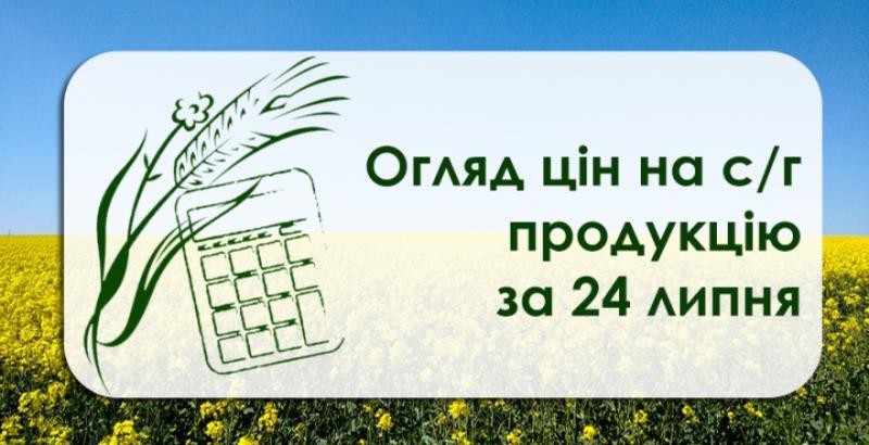 Як змінились ціни на зернові та олійні — огляд за 24 липня