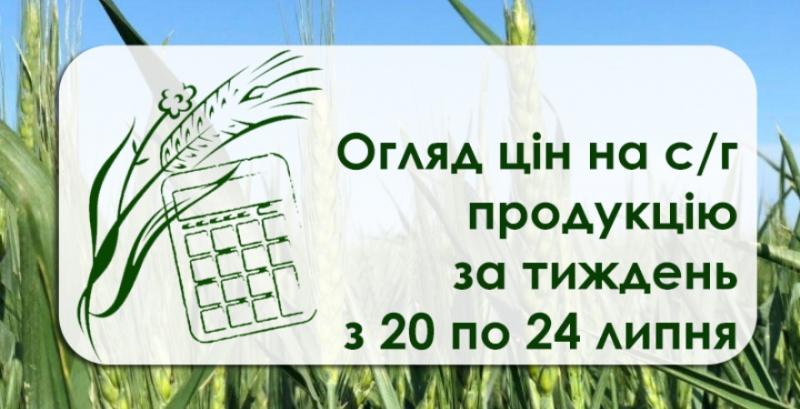 Пшениця та ячмінь дорожчають — огляд за тиждень з 20 по 24 липня