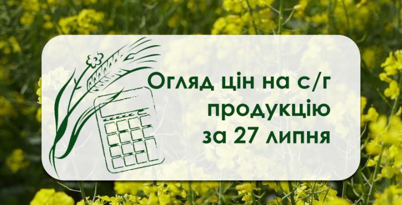 Ріпак подешевшав — огляд цін на с/г продукцію за 27 липня