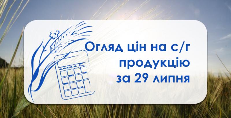 Від початку сезону пшениця подорожчала на 10% — огляд за 29 липня