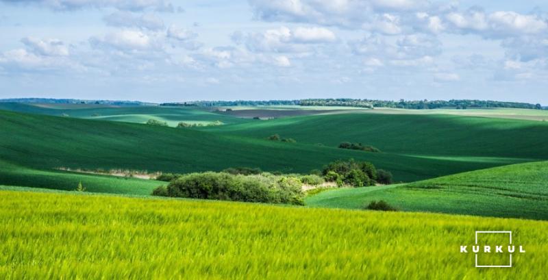 В  Україні понад 6 млн га сільгоспземель використовується невідомими особами — Апостол