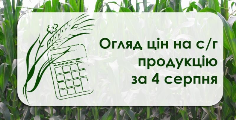 Фуражна пшениця подорожчала — огляд цін на с/г продукцію за 4 серпня