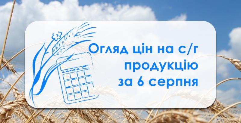 В портах продовжує дорожчати пшениця — огляд цін на с/г продукцію за 6 серпня