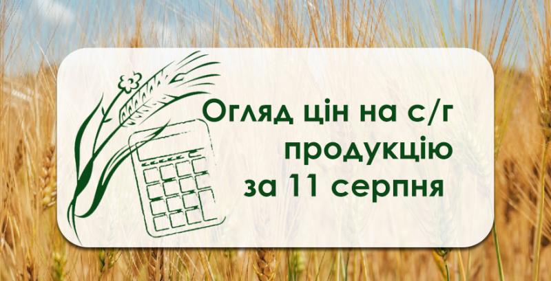 В портах України дорожчає ячмінь — огляд цін на с/г продукцію за 11 серпня