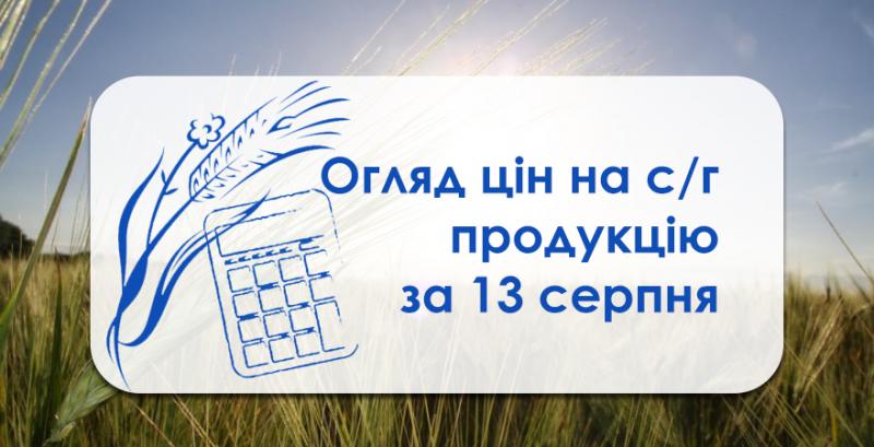 Фуражна пшениця продовжує дешевшати — огляд цін на с/г продукцію за 13 серпня