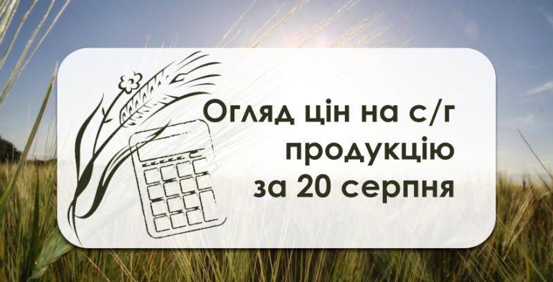 В портах продовжує дешевшати пшениця фуражна — огляд цін на с/г продукцію за 20 серпня