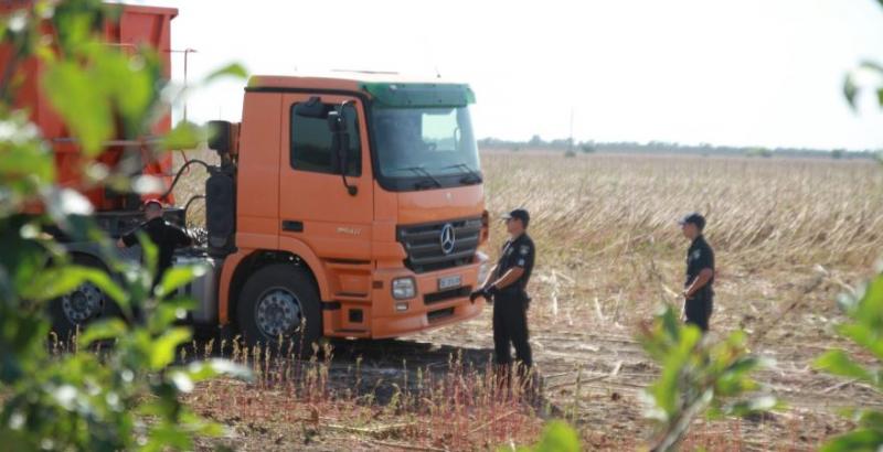 На Миколаївщині рейдери намагались захопити врожай соняшнику