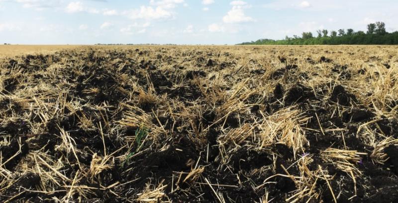 Як підвищити врожайність культур завдяки біодеструкторам — досвід фермера