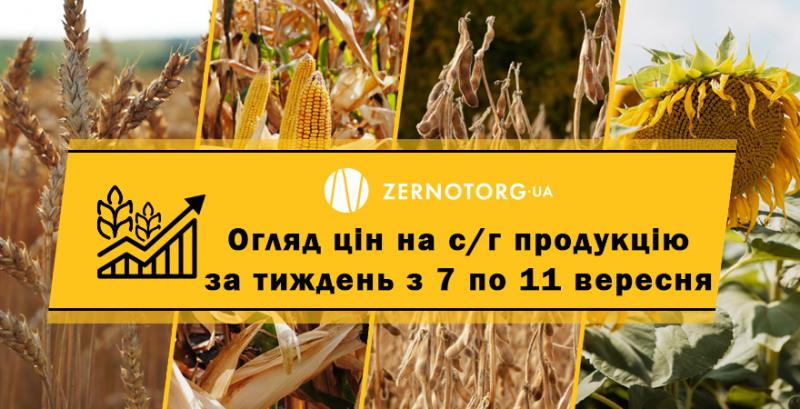 В портах України подорожчали зернові та олійні — огляд цін на с/г продукцію за тиждень з 7 по 11 вересня 