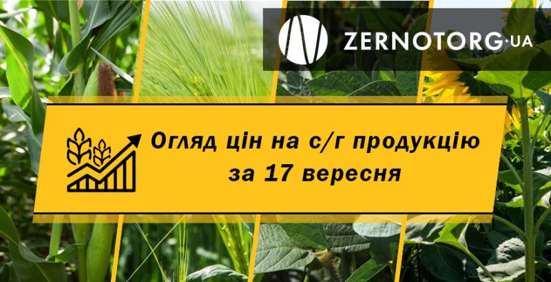 В портах дорожчає зерно — огляд цін на с/г продукцію за 17 вересня від Zernotorg.ua