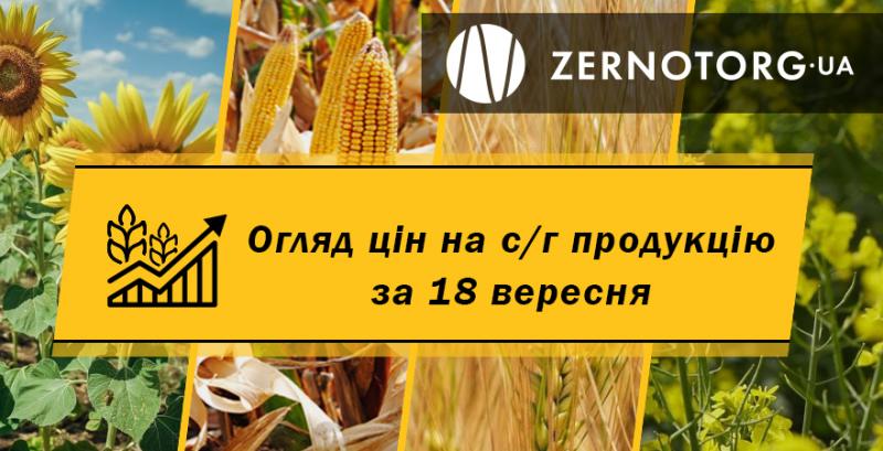 В портах України дорожчає соя — огляд цін за 18 вересня від Zernotorg.ua