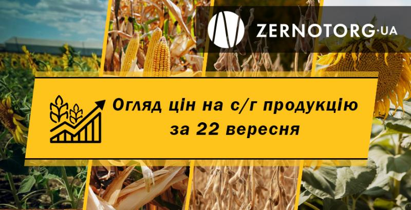 В Україні продовжує дорожчати зерно — огляд цін за 22 вересня від Zernotorg.ua