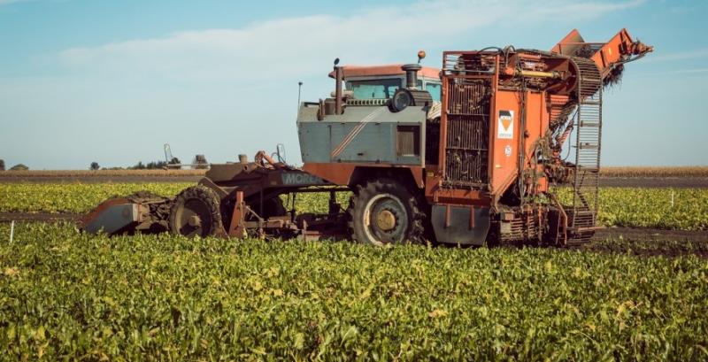 В Україні переробили майже 700 тисяч тонн цукрових буряків