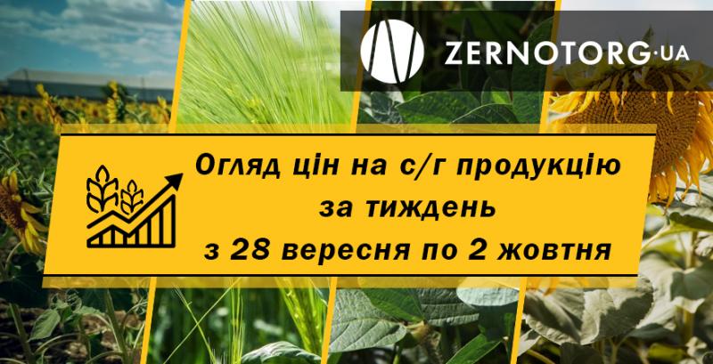 В портах знизились ціни на зернові — огляд за тиждень з 28 вересня по 2 жовтня від Zernotorg.ua