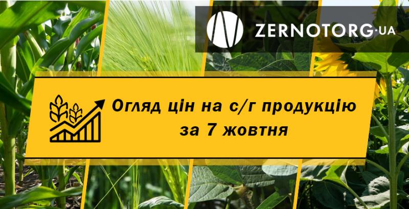 Ціна сої перетнула позначку 13,6 тисяч грн/т — огляд за 7 жовтня від Zernotorg.ua