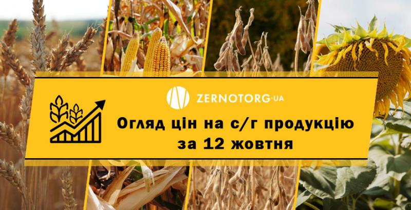 Пшениця продовжує оновлювати цінові максимуми — огляд цін за 12 жовтня від Zernotorg.ua