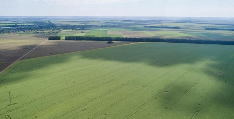 Ціна землі зросте у 5 разів — Шмигаль