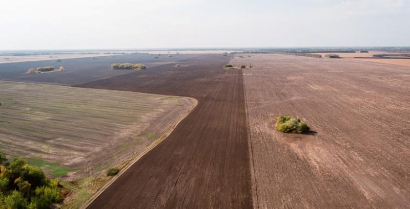 Після запуску ринку землі фермери можуть втратити до 20% земельного банку — думка