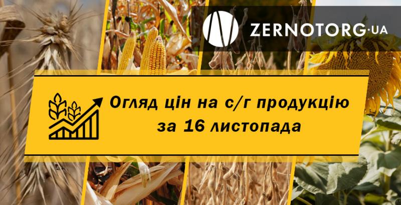 Як змінилися ціни на зерно — огляд за 16 листопада від Zernotorg.ua