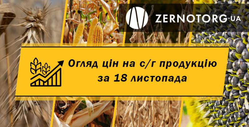 Ціна пшениці перевищила позначку $240/т — огляд за 18 листопада від Zernotorg.ua