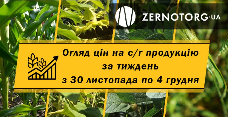 Як змінились ціни на зернові та олійні — огляд за тиждень з 30 листопада по 4 грудня від Zernotorg.ua