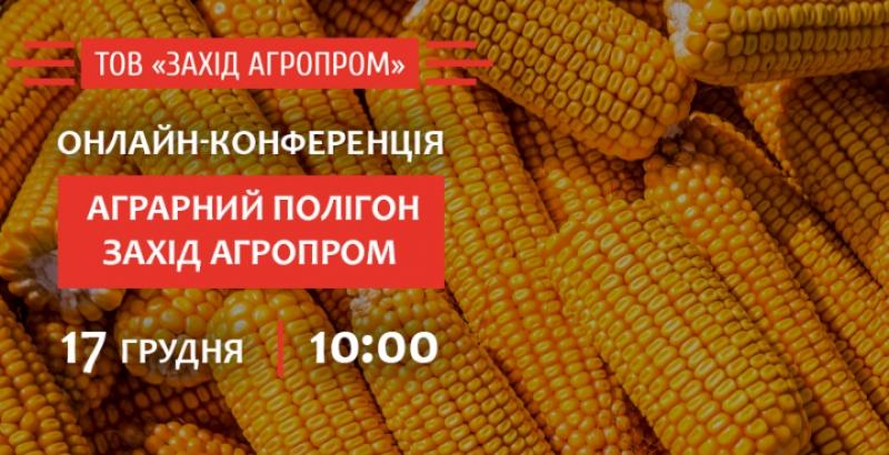 Технології вирощування кукурудзи: підсумки результатів дослідів на Аграрному Полігоні