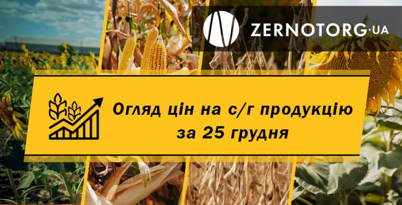 Ціни на зернові та олійні — огляд за 25 грудня від Zernotorg.ua