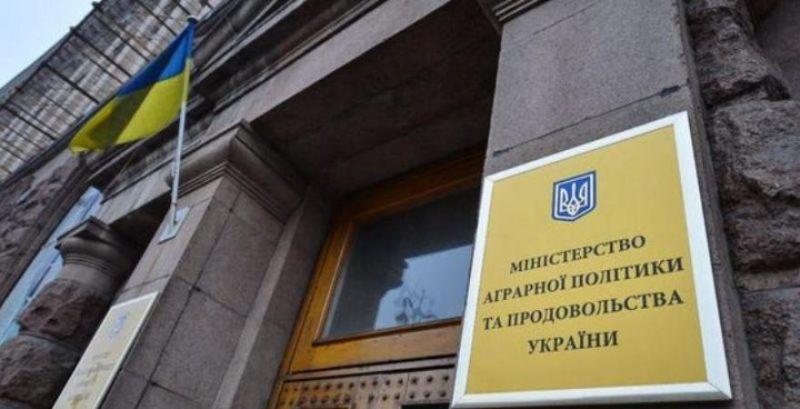  Ігор Петрашко розповів, коли запрацює  поновлене Мінагрополітики