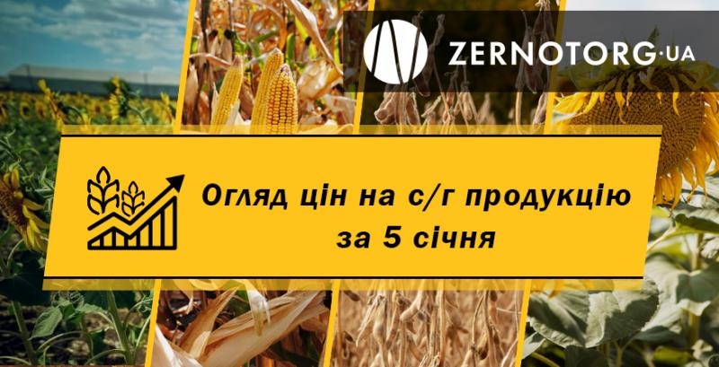 В портах України подорожчав соняшник — огляд цін за 5 січня від Zernotorg.ua