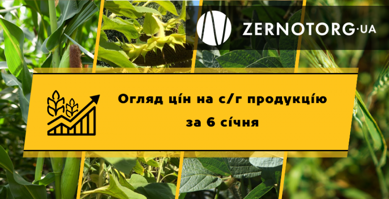 Ціни на зерно в портах почали рости — огляд за 6 січня від Zernotorg.ua