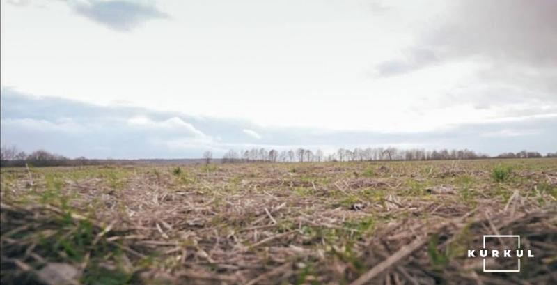 В Україні змінено порядок нормативно-грошової оцінки земельних ділянок