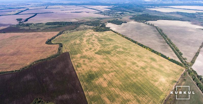 В Україні названо регіони із найдорожчою землею с/г значення