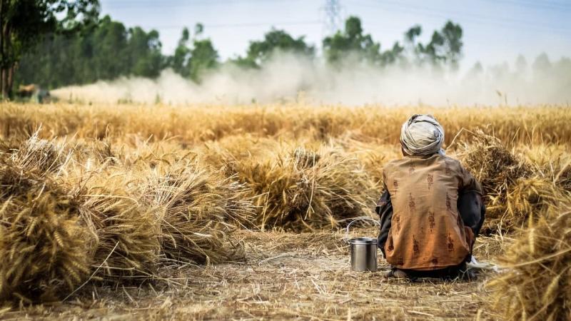 Індійські фермери продовжують протестувати